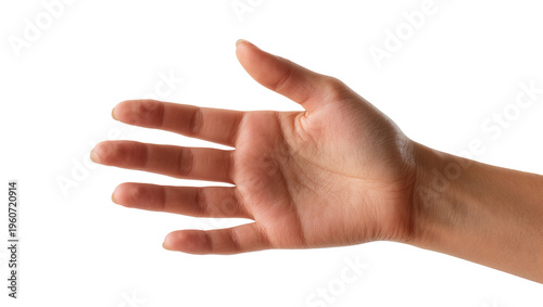 Photos Tan human hand with slightly bent fingers extended upwards palm facing forward,