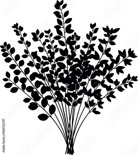 Dense leafy bush silhouette isolated on background