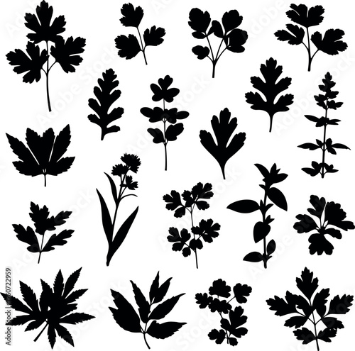 Assorted herbal leaves and sprigs black silhouettes design