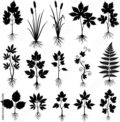 Set of black plant silhouettes with root systems