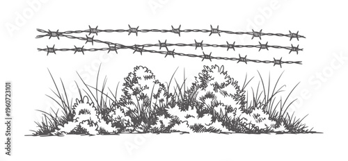 Hand drawn barbed wire fence over rough grass and bushes