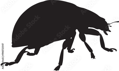 Black beetle silhouette, insect icon, bug illustration, vector graphic