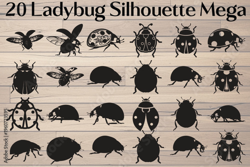 Ladybug silhouettes, insect icons, black bug illustrations, 20 piece set