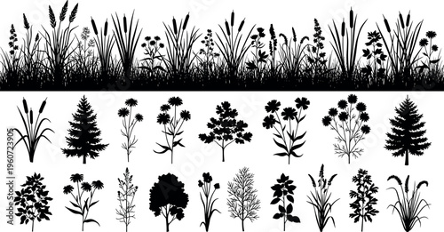 Vector illustration of plant and flower silhouettes, grasses, wildflowers, trees, diverse botanical nature artwork design elements