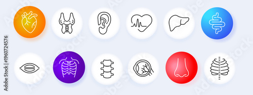 Human anatomy set icon. Heart lungs ear cardiogram liver mouth ribs spine hand kidney line icons minimal outline style medical body parts collection.