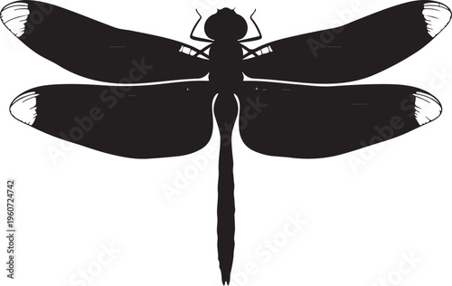 Black dragonfly silhouette, insect icon, vector illustration, white background