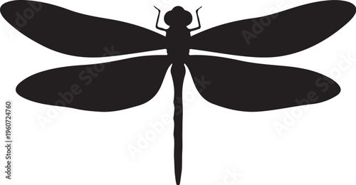 Black dragonfly silhouette, insect icon, vector illustration, bug symbol