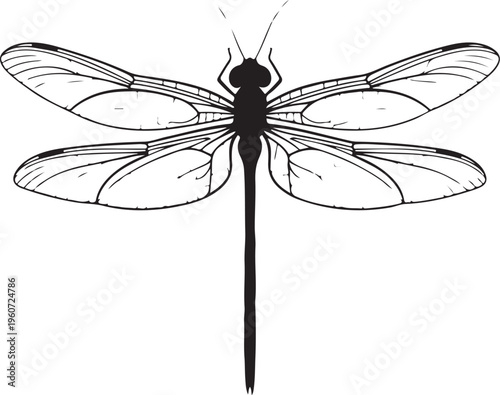 Black dragonfly, insect illustration, vector graphic, bug icon