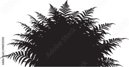 Black fern leaf, fern silhouette, leafy foliage, botanical icon, vector graphic