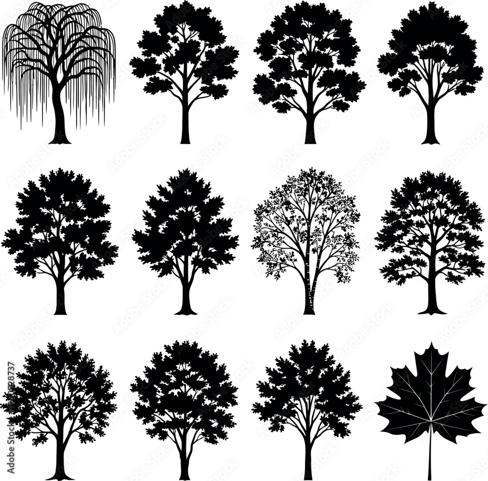 Obraz premium Collection of diverse tree silhouettes and leaf