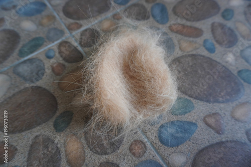 Photography Fallen animal fur on floor tiles, symbol of pet grooming and shedding