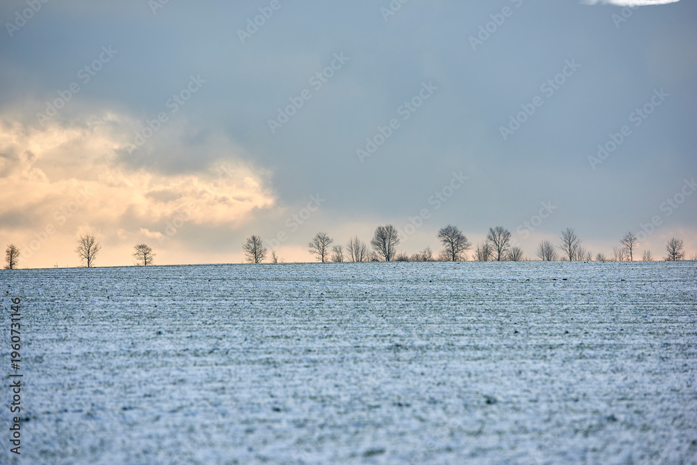 Naklejka premium Landscape, farmland and clouds with snow in nature for agriculture, dormant crops and winter season. Space, trees or climate change with frost for soil moisture, rural farming and planting disruption