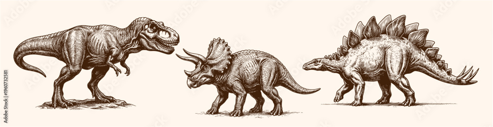 Fototapeta premium Hand Drawn Vintage Illustration of Three Famous Dinosaur Species