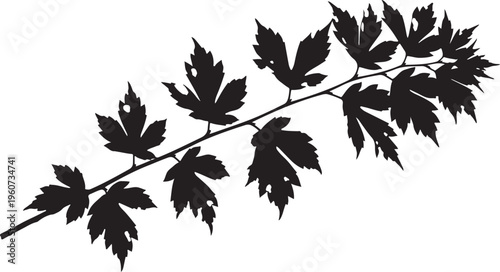 Black leaf branch silhouette, vector leafy twig, dark foliage illustration, botanical element