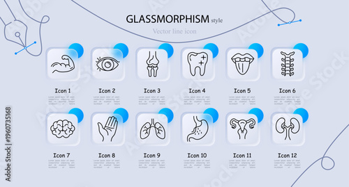 Human anatomy set icon. Arm muscle, eye vision, knee joint, tooth dental, tongue organ, spine vertebrae, brain organ, palm hand, lungs breathing, stomach digestion, uterus female organ
