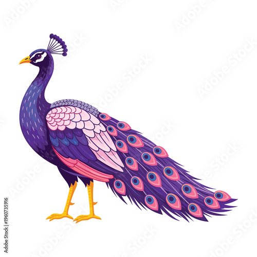 A vibrant and stylized illustration of a peacock with rich purple and pink plumage standing gracefully