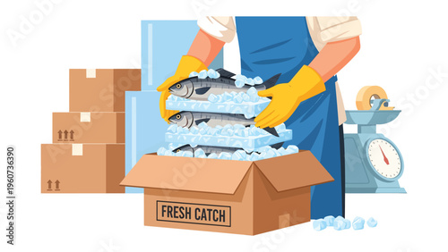 Fresh Catch Preparation: A culinary professional diligently prepares a fresh catch of fish, carefully packing them in a box with ice