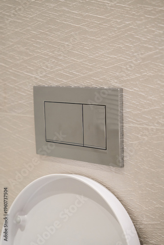 Modern toilet flush system in a bathroom, featuring a chrome dual flush plate for water saving and efficient sanitary technology