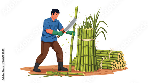 Sugarcane Harvest: A skilled individual harvests vibrant green sugarcane, employing a traditional method with a machete to gather bundles of stalks.