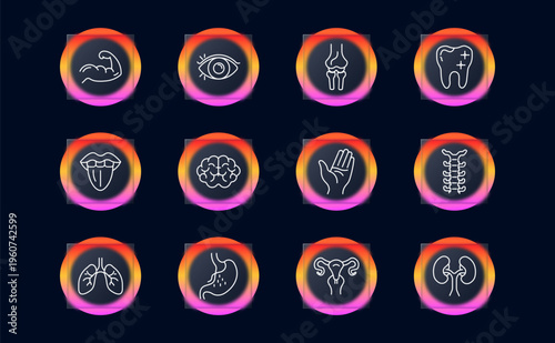 Human anatomy body parts set icon. Line symbols with arm muscle flex, eye organ, knee joint bones, tooth dental crown, tongue mouth, brain cortex, palm hand, spine vertebrae, lungs organ