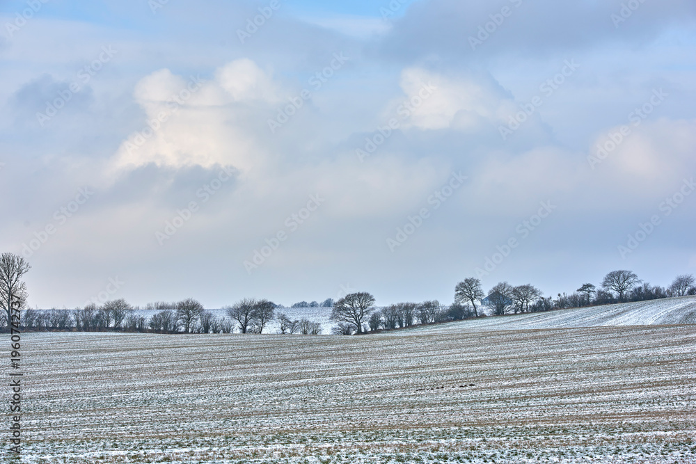 Naklejka premium Landscape, farm and field with snow in nature for agriculture, dormant crops and winter season. Space, clouds and climate change with frost for soil moisture, farming erosion and planting disruption