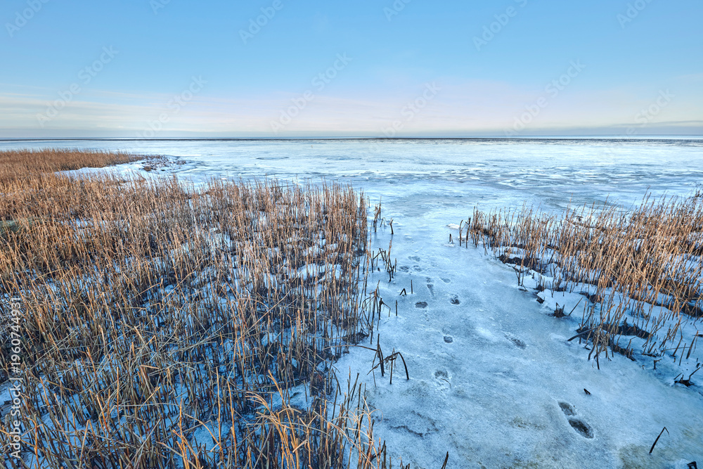 Obraz premium Landscape, blue sky and beach with snow in nature for climate change, winter season and morning frost. Space, grassland and seaside with ice formation, snowfall and icy conditions from global warning