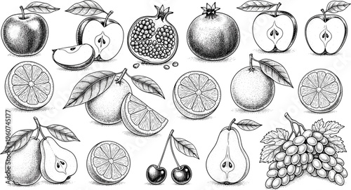 Hand drawn fruit vector collection. Apples, pears, citrus, pomegranate and grapes in vintage engraving style. Detailed monochrome natural food illustration set for packaging design.