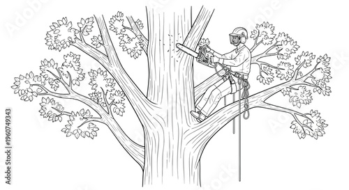 Arborist cutting tree branch with chainsaw