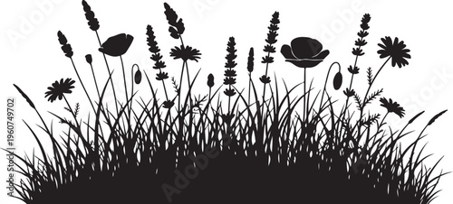 Black silhouette wildflowers, grass and weeds vector, floral border, landscape elements