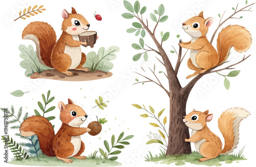 set of Watercolor Squirrel Illustration, Cute Forest Animal, vector isolated on white background