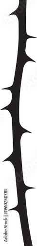 Black thorn branch, vector thorn, prickly stem, isolated plant element