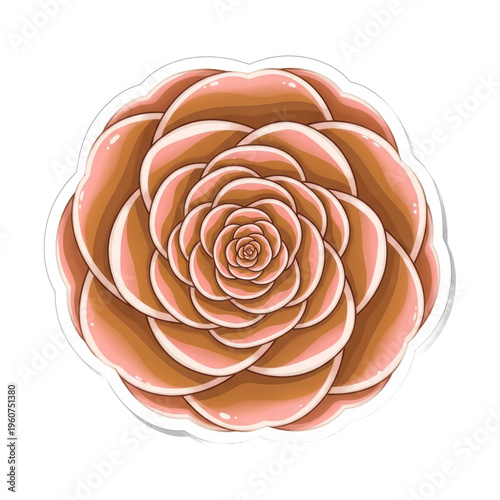 Peach rose blossom illustration