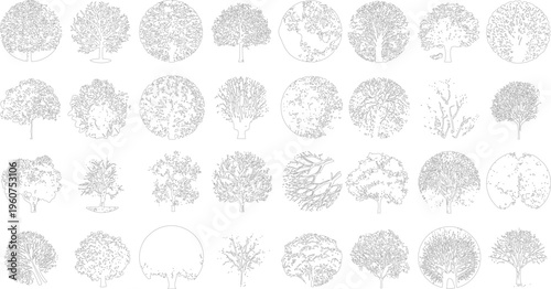 Collection of black and white line of various trees and foliage shapes leaf leaves