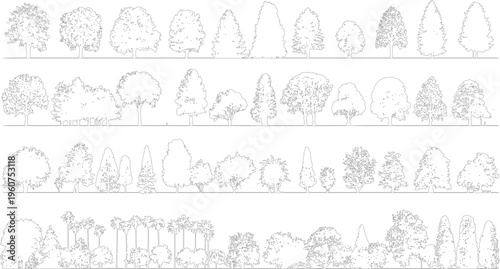 Collection of detailed black and white line of various deciduous and coniferous trees and palm trees