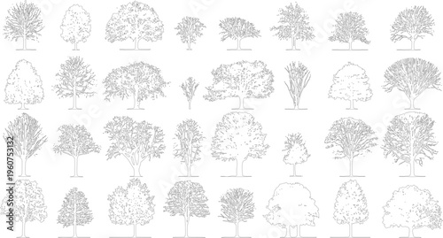 Collection of black and white line of various deciduous trees and shrubs plant plants nature