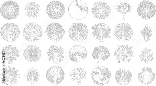 Collection of black and white line of various trees viewed from above and in profile outline