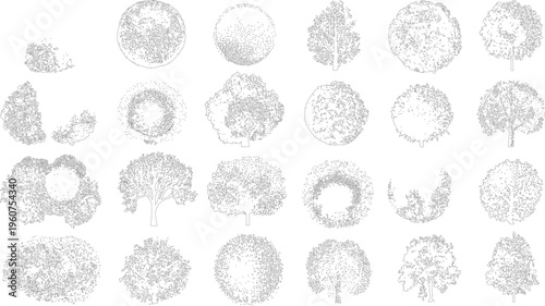 Collection of detailed black and white line of various trees and foliage viewed from above and side profiles