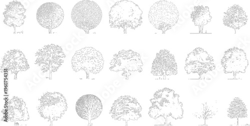 Collection of black and white line of various deciduous trees with detailed foliage and trunks outline
