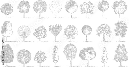 Collection of twenty four black and white line of various trees with stippled foliage and trunks