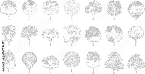 Collection of eighteen black and white line of various deciduous trees with detailed foliage and trunks