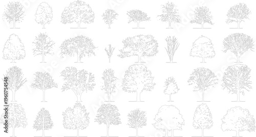 Collection of thirty different tree outlines in various shapes and sizes with detailed branches and foliage