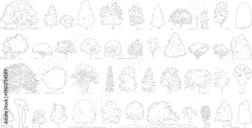 Collection of diverse black and white line of various trees and foliage for architectural or landscape