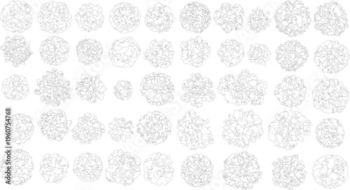 Collection of abstract organic shapes with intricate internal line patterns on a white background lines