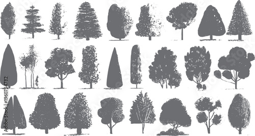 Collection of diverse grey sketched trees and evergreens with varied foliage and shapes on white background
