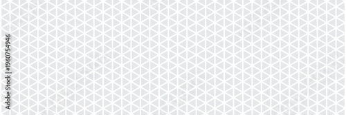 White and gray background. Geometric style. Mesh of triangles. Mosaic template for your design.