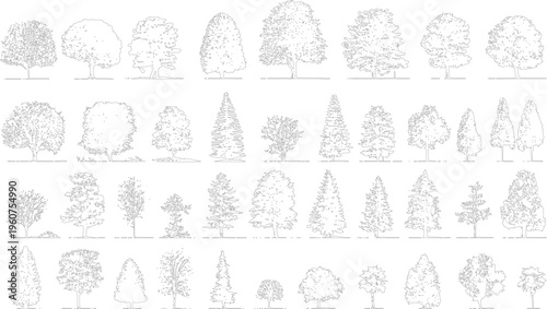 Collection of black and white line of various deciduous and coniferous trees and shrubs nature plant