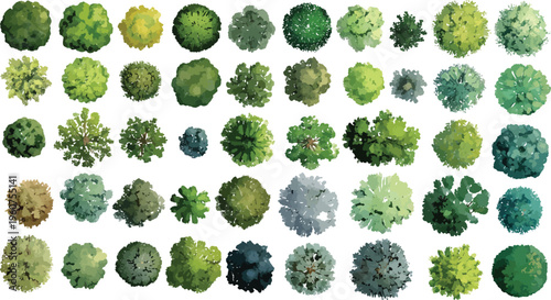 Collection of diverse stylized trees viewed from directly above in various shades of green and yellow