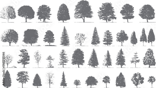 Collection of diverse grey deciduous and coniferous trees in silhouette with detailed foliage and branch structures