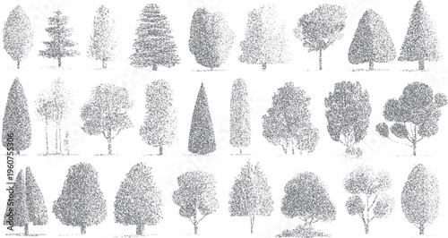 Collection of diverse grey stippled trees with varied shapes and sizes on a white background nature plant