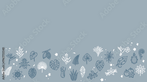 Minimalist Hand-Drawn Tropical Botanical Line Art Banner